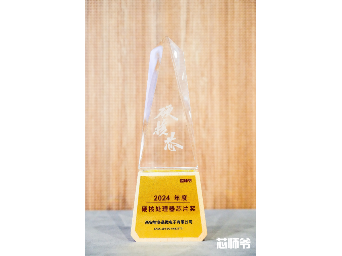 2024���Ӳ�˴��óͷ���оƬ��